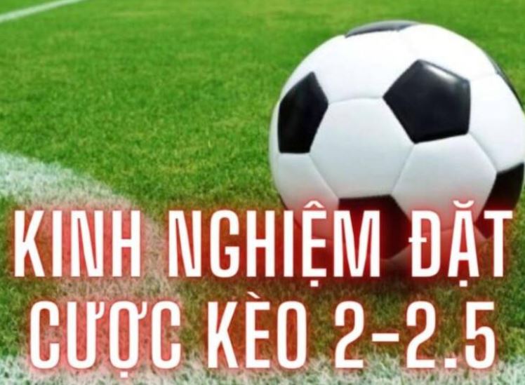 Kèo Chấp 2 1/4 Kèo Cá Cược Làm Mưa Gió Hiện Nay 2025 2 Kinh nghiệm chơi kèo 2 1/4 Vn678